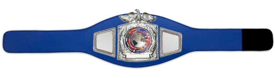 PROEAGLE SILVER WORLD FLAGS CHAMPIONSHIP BELT - PROEAGLE/S/FLAGS - AVAILABLE IN 6+ COLOURS